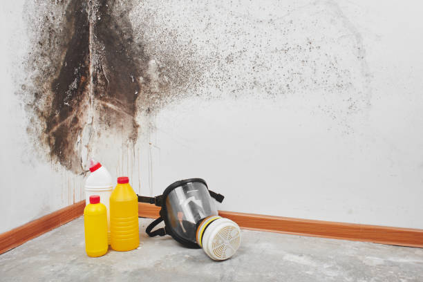 Best Mold Remediation for Healthcare Facilities  in Akron, CO